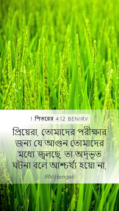 1 পিতরের 4:12 BENIRV Bible Verse Image
