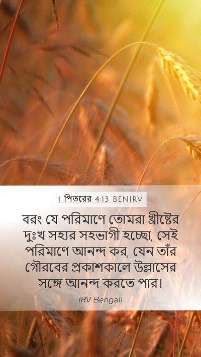 1 পিতরের 4:13 BENIRV Bible Verse Image