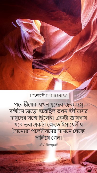 1 বংশাৱলি 11:13 BENIRV Bible Verse Image