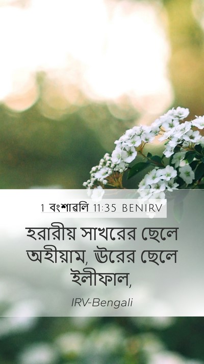 1 বংশাৱলি 11:35 BENIRV Bible Verse Image