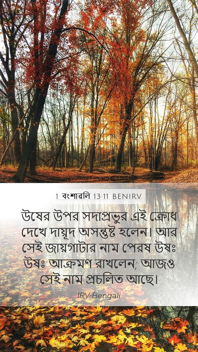 1 বংশাৱলি 13:11 BENIRV Bible Verse Image