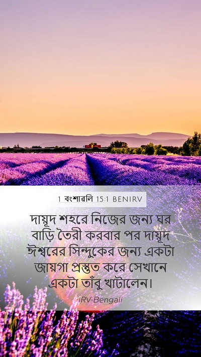 1 বংশাৱলি 15:1 BENIRV Bible Verse Image