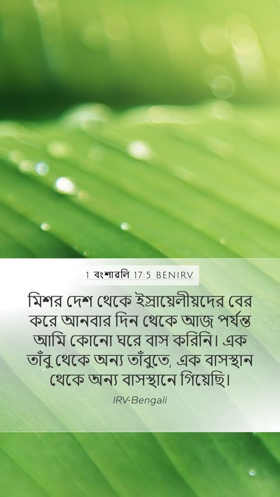 1 বংশাৱলি 17:5 BENIRV Bible Verse Image