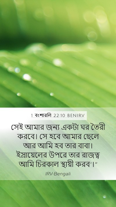 1 বংশাৱলি 22:10 BENIRV Bible Verse Image