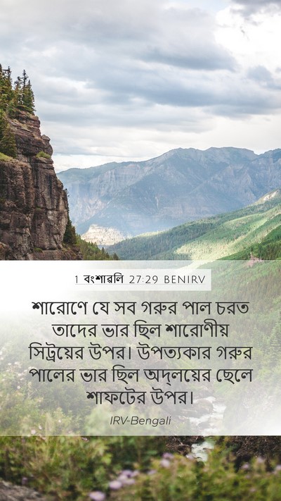 1 বংশাৱলি 27:29 BENIRV Bible Verse Image