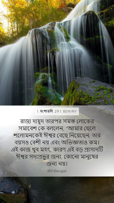 1 বংশাৱলি 29:1 BENIRV Bible Verse Image