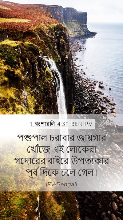 1 বংশাৱলি 4:39 BENIRV Bible Verse Image