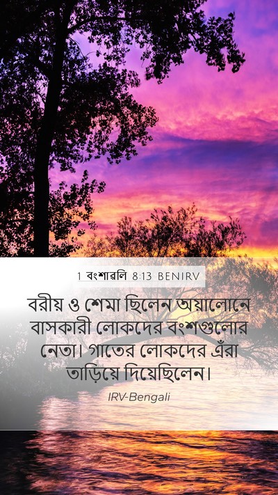 1 বংশাৱলি 8:13 BENIRV Bible Verse Image