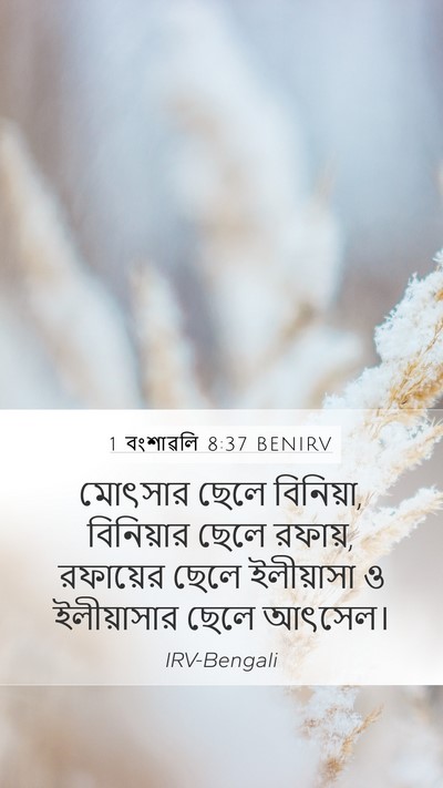 1 বংশাৱলি 8:37 BENIRV Bible Verse Image