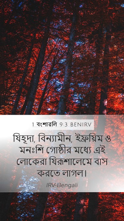 1 বংশাৱলি 9:3 BENIRV Bible Verse Image