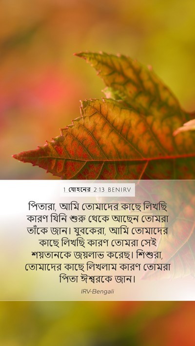 1 যোহনের 2:13 BENIRV Bible Verse Image