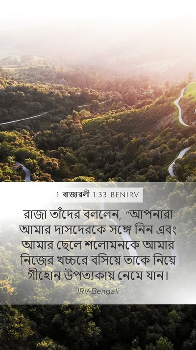1 ৰাজাৱলী 1:33 BENIRV Bible Verse Image