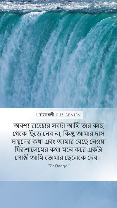 1 ৰাজাৱলী 11:13 BENIRV Bible Verse Image