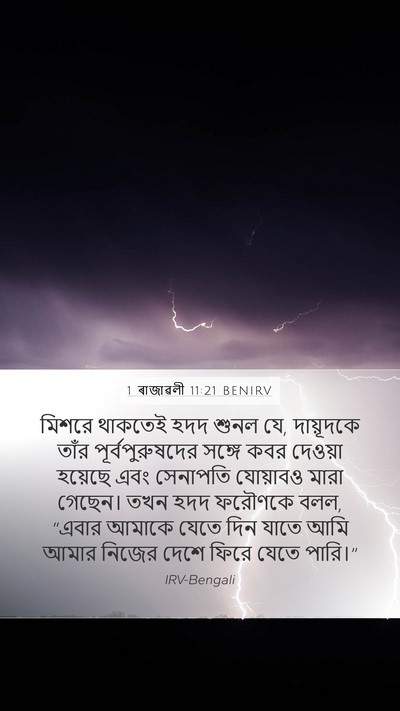 1 ৰাজাৱলী 11:21 BENIRV Bible Verse Image