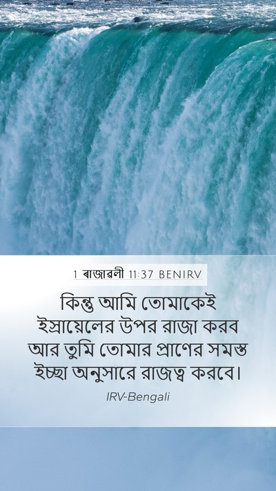 1 ৰাজাৱলী 11:37 BENIRV Bible Verse Image