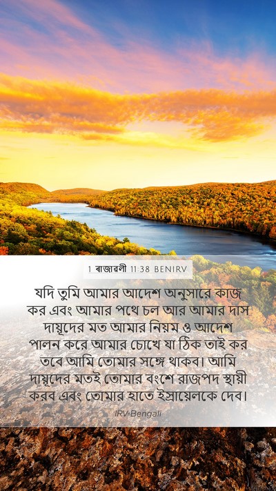 1 ৰাজাৱলী 11:38 BENIRV Bible Verse Image