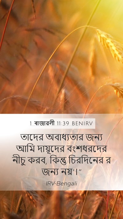 1 ৰাজাৱলী 11:39 BENIRV Bible Verse Image