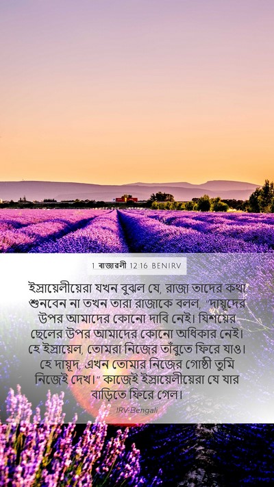 1 ৰাজাৱলী 12:16 BENIRV Bible Verse Image