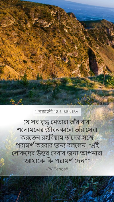 1 ৰাজাৱলী 12:6 BENIRV Bible Verse Image
