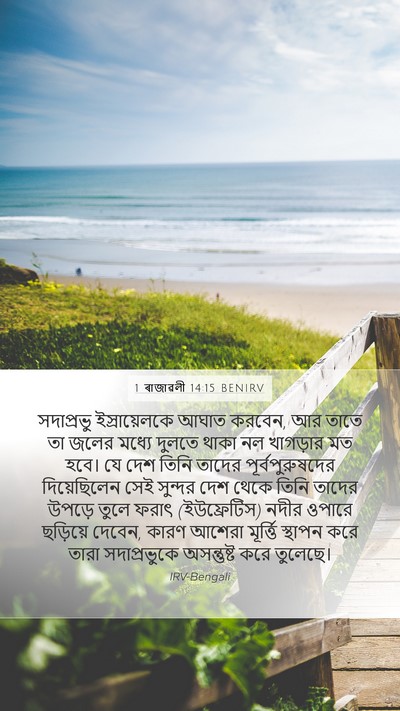 1 ৰাজাৱলী 14:15 BENIRV Bible Verse Image