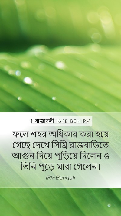 1 ৰাজাৱলী 16:18 BENIRV Bible Verse Image