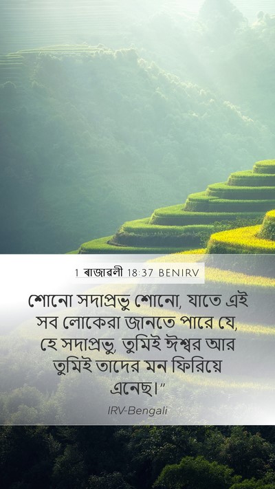 1 ৰাজাৱলী 18:37 BENIRV Bible Verse Image