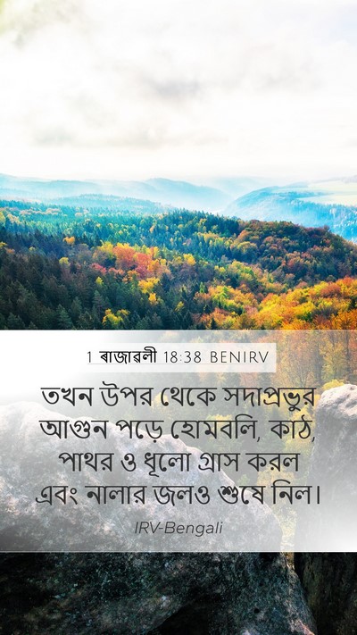1 ৰাজাৱলী 18:38 BENIRV Bible Verse Image