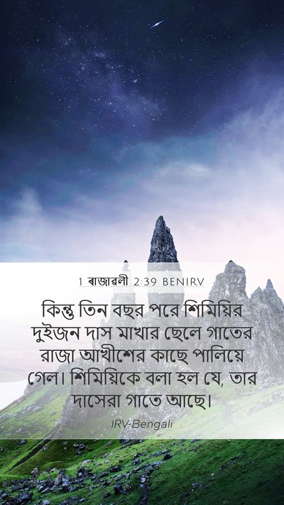 1 ৰাজাৱলী 2:39 BENIRV Bible Verse Image