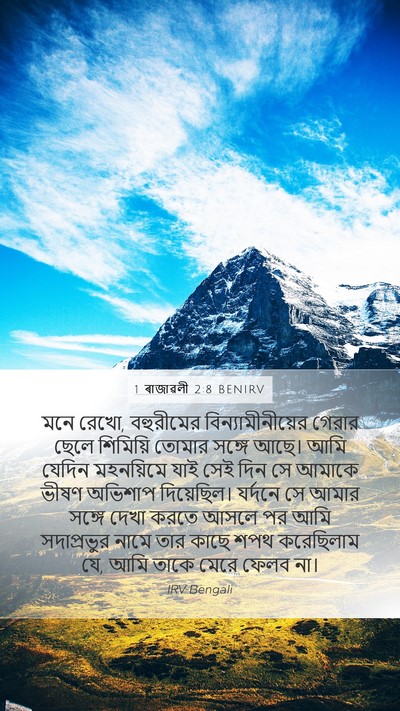 1 ৰাজাৱলী 2:8 BENIRV Bible Verse Image