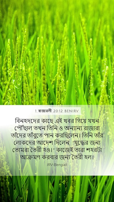 1 ৰাজাৱলী 20:12 BENIRV Bible Verse Image