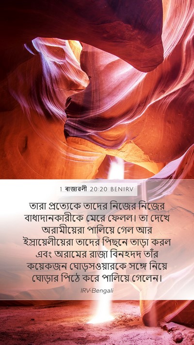 1 ৰাজাৱলী 20:20 BENIRV Bible Verse Image