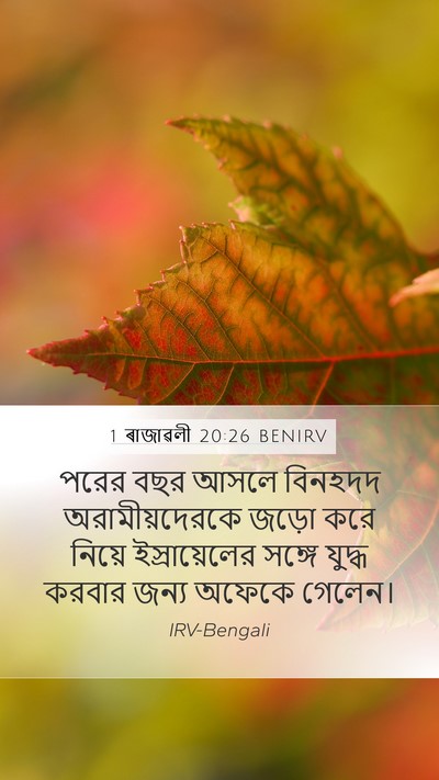 1 ৰাজাৱলী 20:26 BENIRV Bible Verse Image