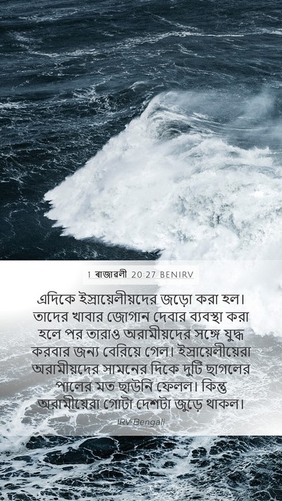 1 ৰাজাৱলী 20:27 BENIRV Bible Verse Image