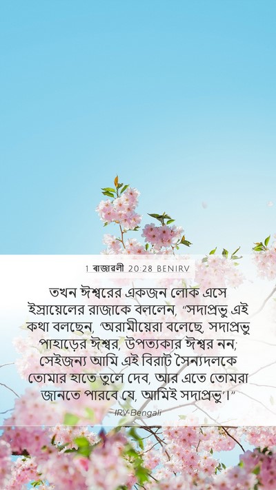 1 ৰাজাৱলী 20:28 BENIRV Bible Verse Image