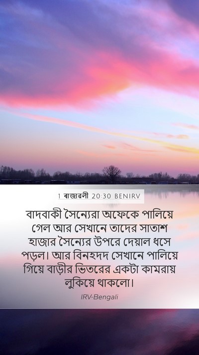 1 ৰাজাৱলী 20:30 BENIRV Bible Verse Image