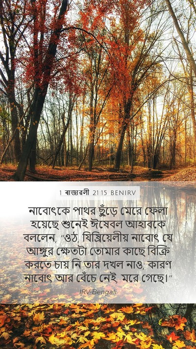 1 ৰাজাৱলী 21:15 BENIRV Bible Verse Image