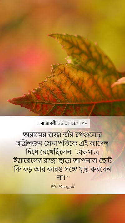 1 ৰাজাৱলী 22:31 BENIRV Bible Verse Image