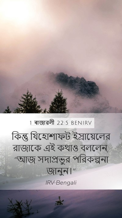 1 ৰাজাৱলী 22:5 BENIRV Bible Verse Image