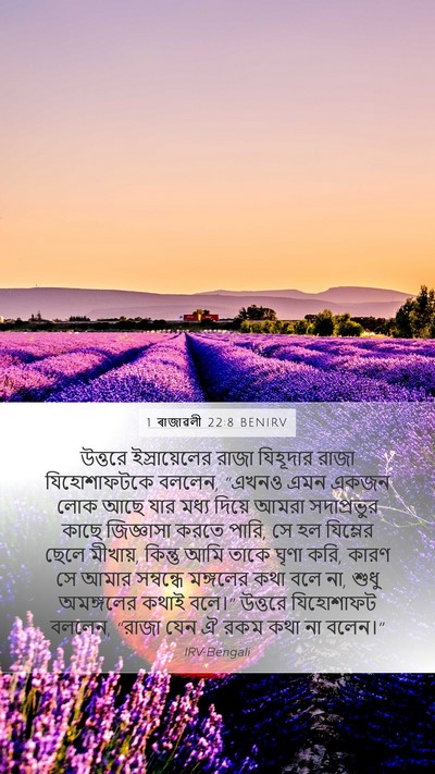 1 ৰাজাৱলী 22:8 BENIRV Bible Verse Image