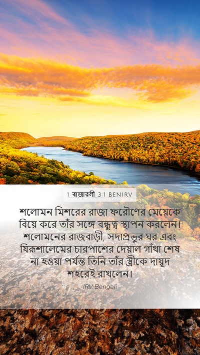 1 ৰাজাৱলী 3:1 BENIRV Bible Verse Image