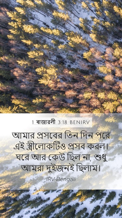 1 ৰাজাৱলী 3:18 BENIRV Mobile Phone Wallpaper - আমার প্রসবের তিন - Mobile Bible Verse Wallpaper