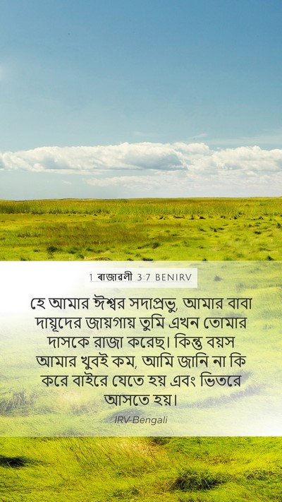 1 ৰাজাৱলী 3:7 BENIRV Bible Verse Image