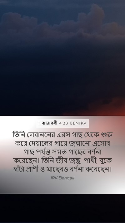 1 ৰাজাৱলী 4:33 BENIRV Bible Verse Image
