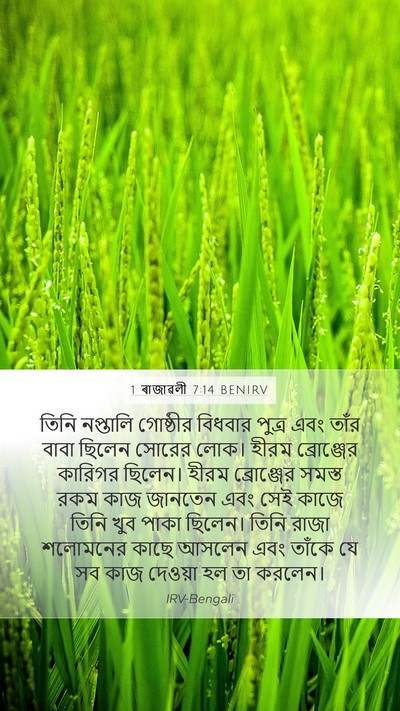 1 ৰাজাৱলী 7:14 BENIRV Bible Verse Image