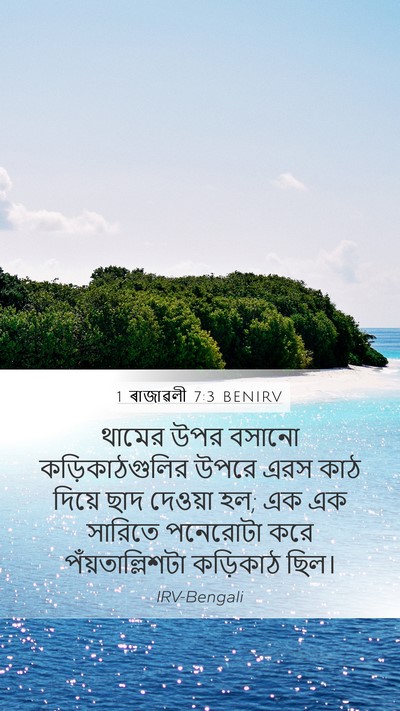 1 ৰাজাৱলী 7:3 BENIRV Mobile Phone Wallpaper - থামের উপর বসানো - Mobile Bible Verse Wallpaper