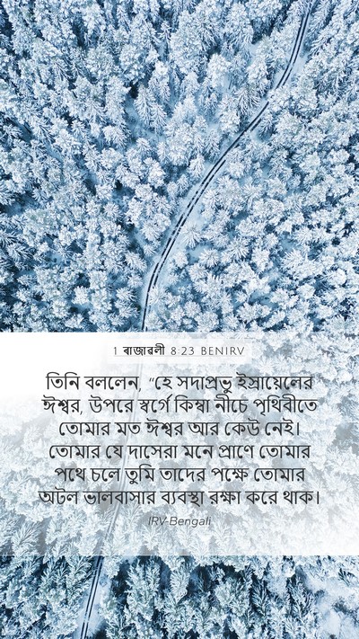 1 ৰাজাৱলী 8:23 BENIRV Bible Verse Image