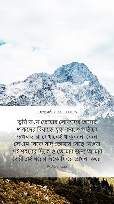 1 ৰাজাৱলী 8:44 BENIRV Bible Verse Image