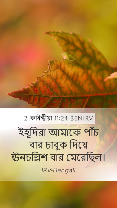 2 কৰিন্থীয়া 11:24 BENIRV Bible Verse Image