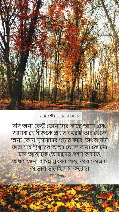 2 কৰিন্থীয়া 11:4 BENIRV Bible Verse Image