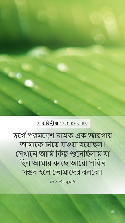 2 কৰিন্থীয়া 12:4 BENIRV Mobile Phone Wallpaper - স্বর্গে পরমদেশ - Mobile Bible Verse Wallpaper